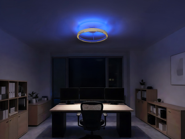 Stropní svítidlo LINIA 660 - 10010 2