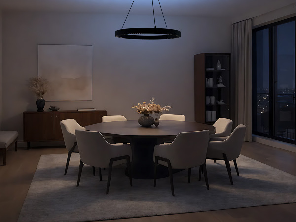 Závěsné svítidlo LINIA 660 - 10011 2