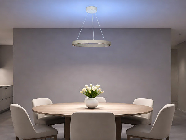 Závěsné svítidlo LINIA 660 - 10013 2